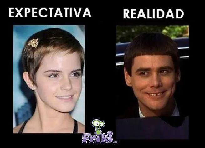 fotos
