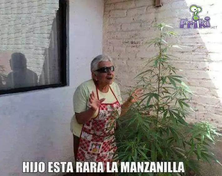 fotos