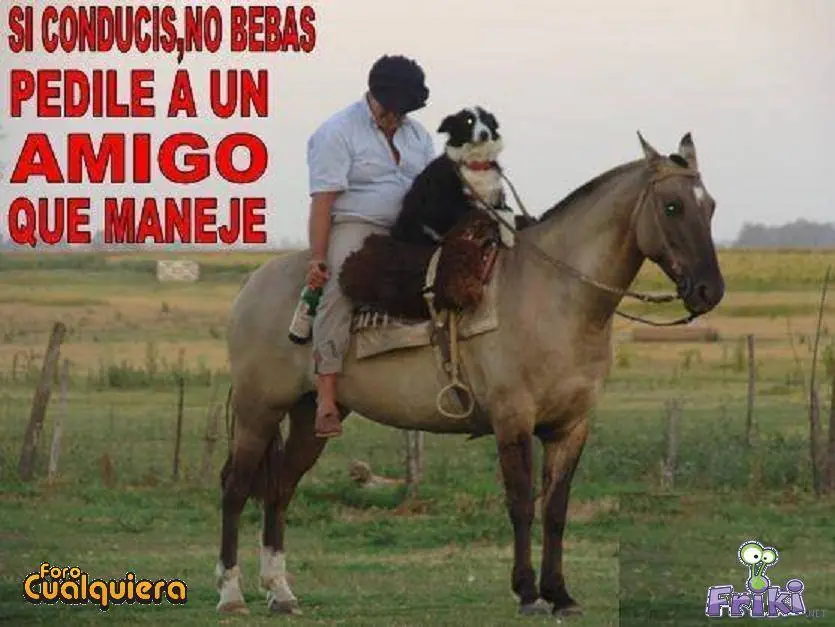 chistosas