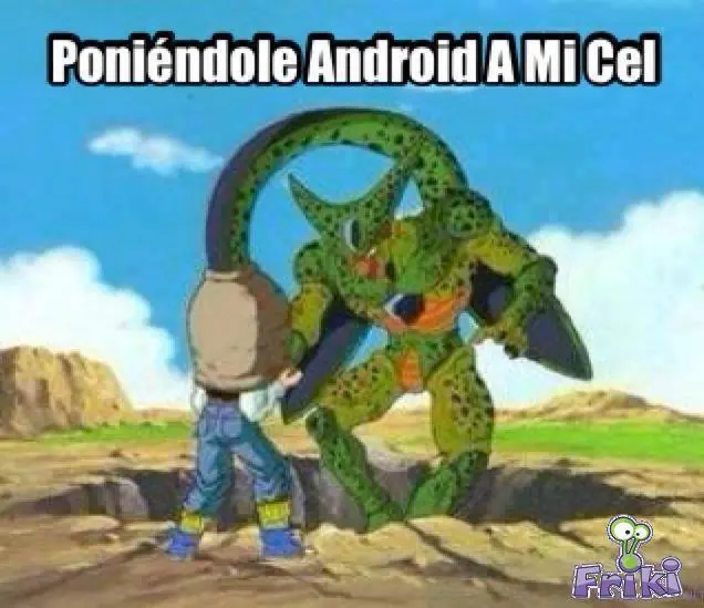 fotos