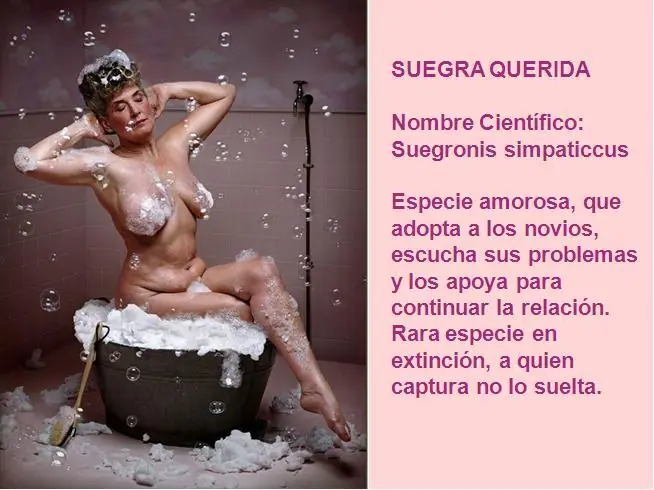 suegras