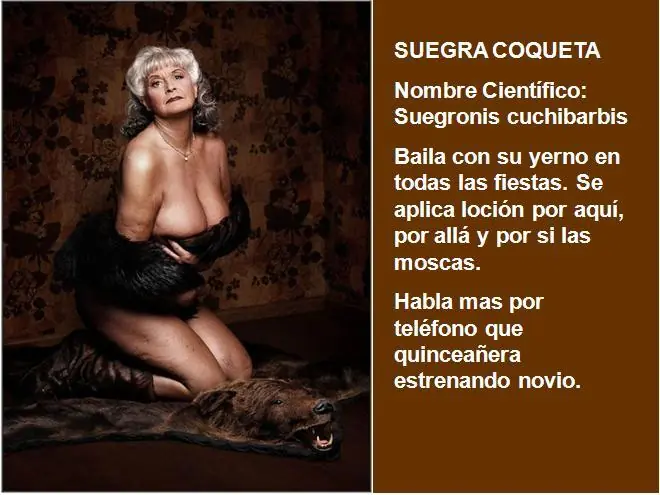 humor
