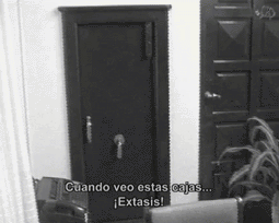 extasis