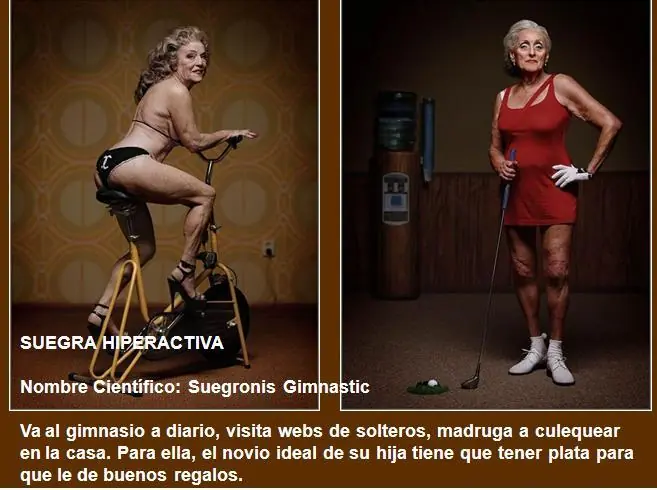 suegritas