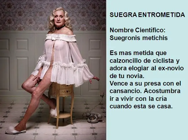 humor