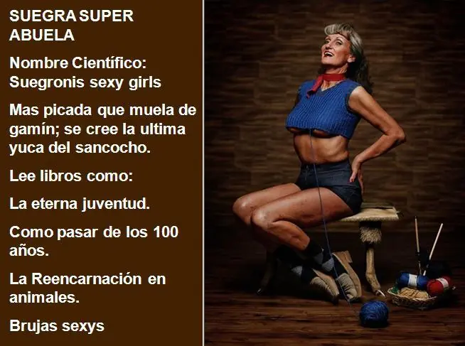 Top Los nuevos tipos de Suegras!!!! Aquí la tuya.