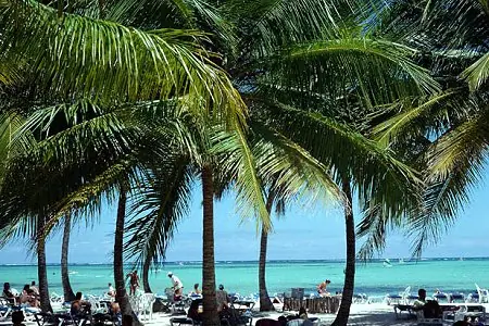 dominicana