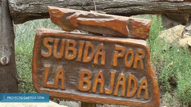Carteles