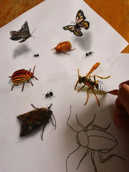 estos dibujos