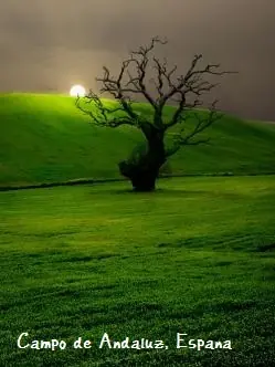 Os lugares más lindos del mundo