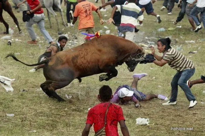Fotos sacadas en el momento justo un poco de risa