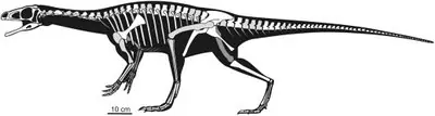 El Dinosaurio Mundial mas Antiguo es Argentino