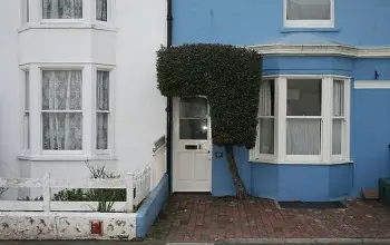 10 soluciones caseras de... ¡Hágalo usted mismo!