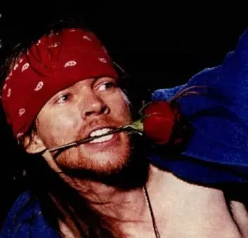 Guns And Roses