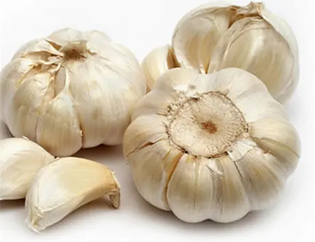 Cura Tibetana con ajo, milagrosa