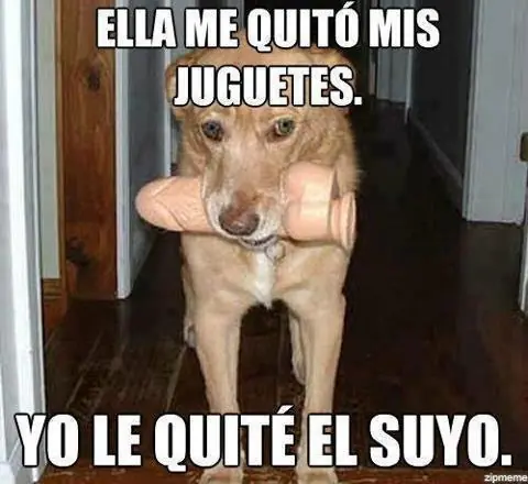 humor