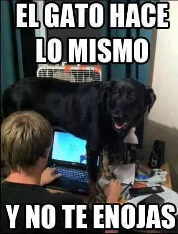 imagenes