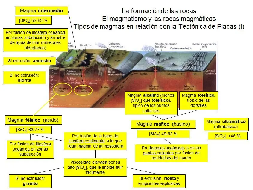 ciclos