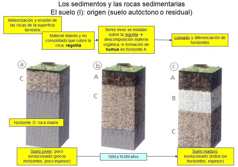 sedimentarias