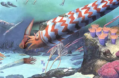 evolución