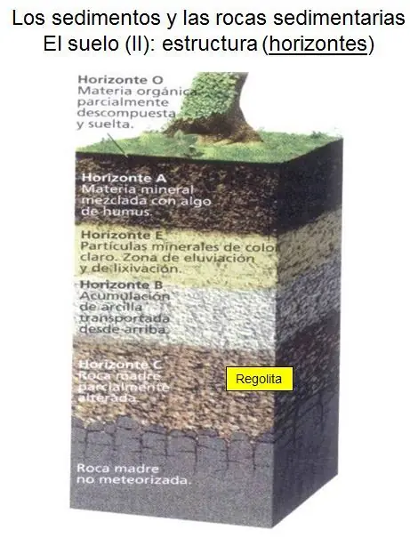igneas