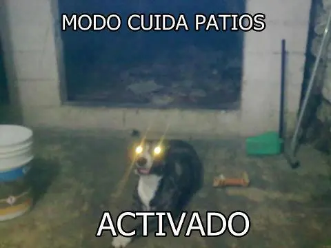 humor