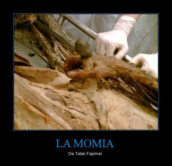 fail