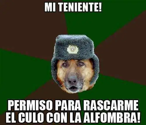diversion