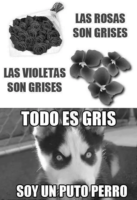 fail