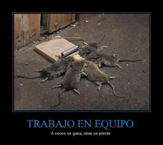 imagenes