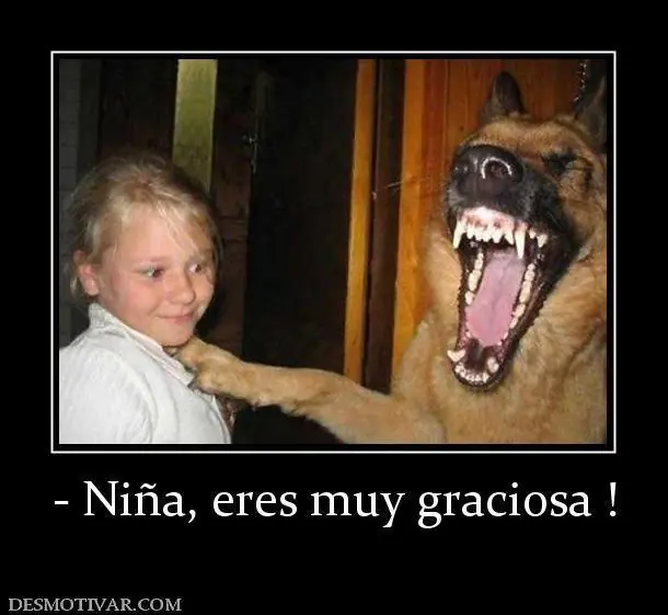 imagenes