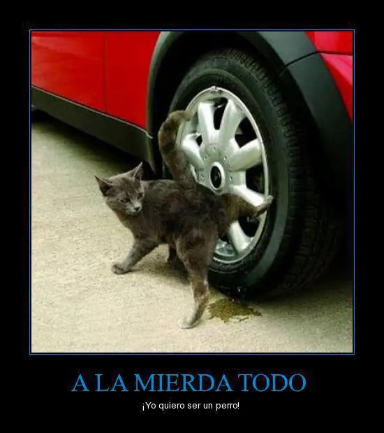fail