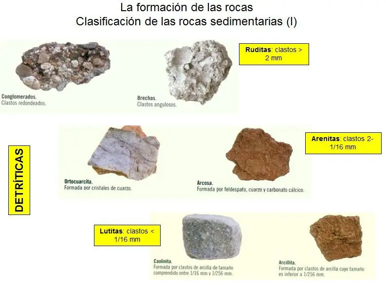 formacion