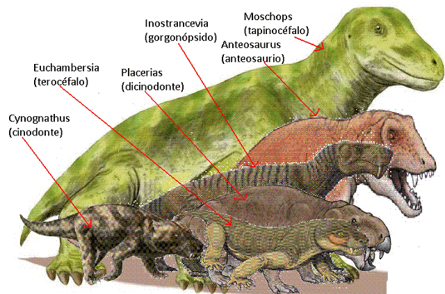 La historia de la vida parte 2 el Paleozoico