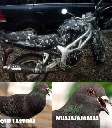 Humor para Terminar el Finde!