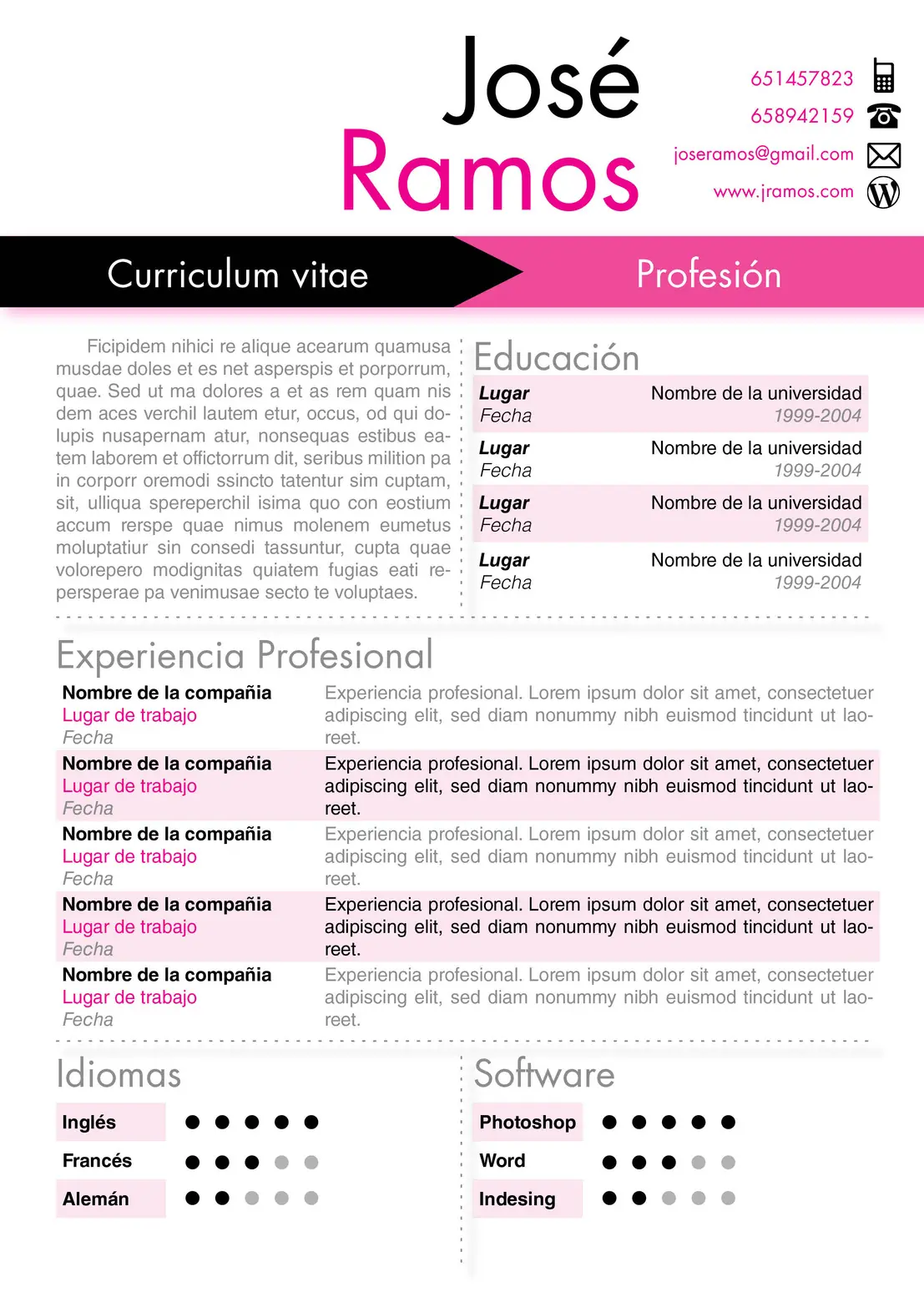Como hacer curriculum vitae