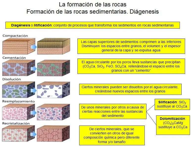 rocas