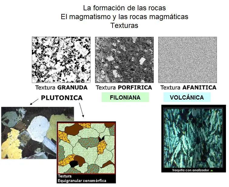 formacion