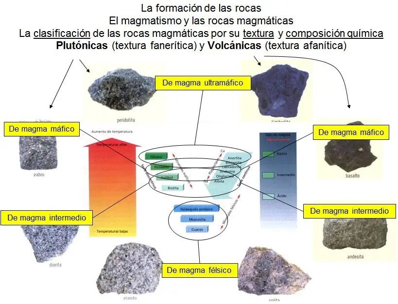 metamorficas