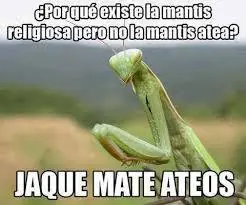 humor