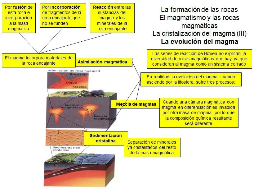 igneas