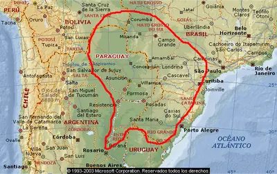 palmeras