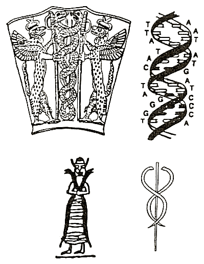 Oculto origen de la humanidad, teoria de la evolución