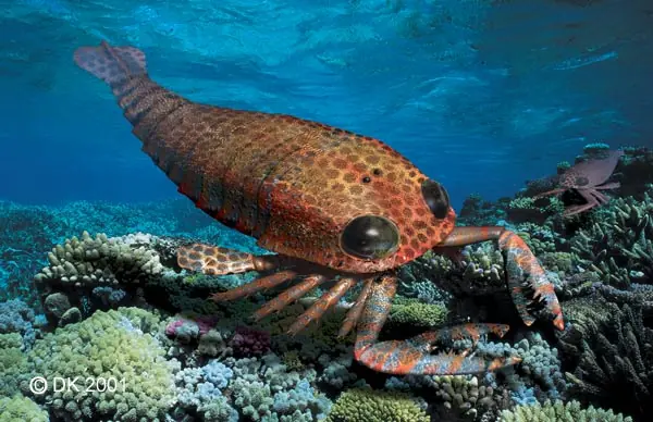 paleozoico