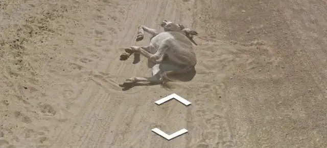 Google atropella a un burro en Botsuana