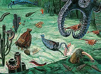 paleozoico