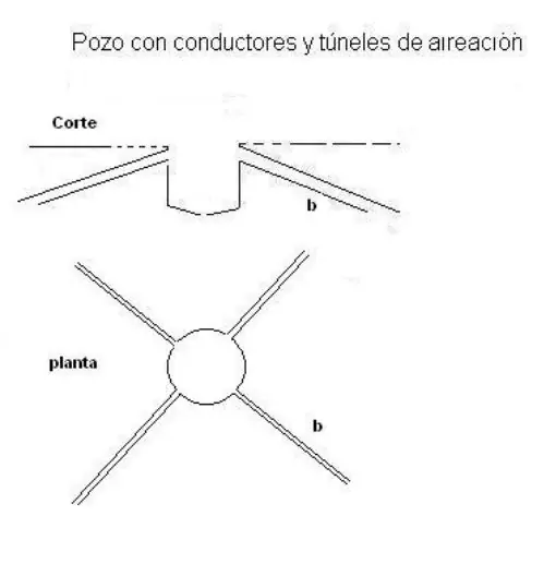 autoctona