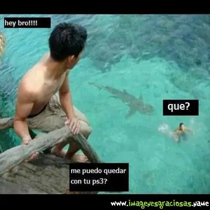 gifs graciosos