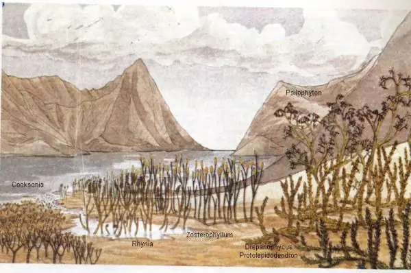 historia de la vida