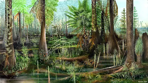 evolución